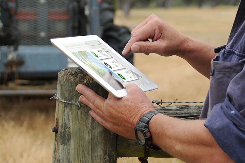 The Avolution: Grower benchmarking for one of Australia's largest avocado wholesalers
