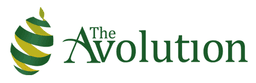 The Avolution